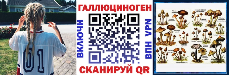 blacksprut ссылка  Котельнич  Галлюциногенные грибы Magic Shrooms 